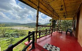 Angels Nest Home Stay 2 Acra Private Plantation Mountain Area Balconey Sunrice View Nearby Ngarhole Wild Life , Tholpetty Wild Life , Pakshipathalam Bird Santuary , Kuruva Island # Thirunelly & Thrissilery Temple Near By Secure Stay Wayanad Kerala